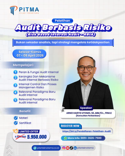 AUDIT BERBASIS RISIKO