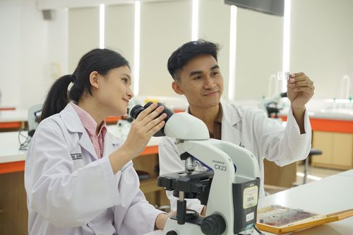 Siapa yang Perlu Sertifikasi Auditor TI BNSP untuk Rumah Sakit